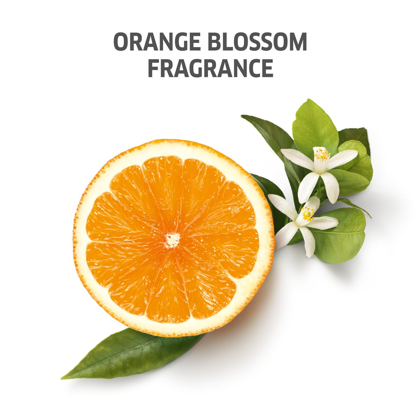 After Sun Cleansing Shampoo - 250ml